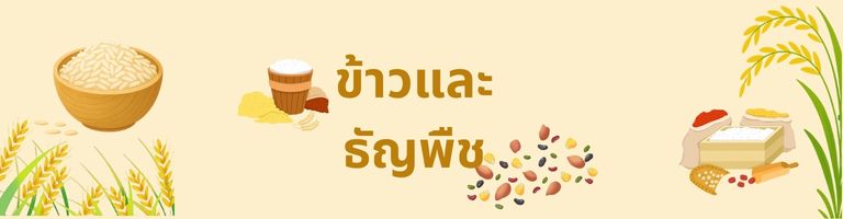 Rice & Grain Category