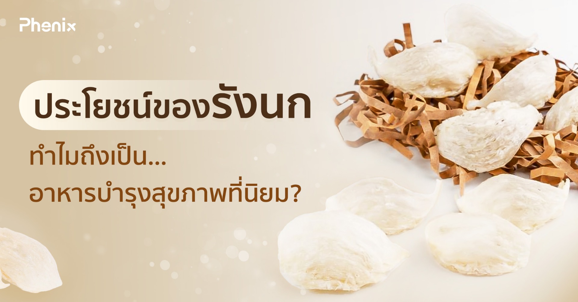 Blog 23 Thumbnail