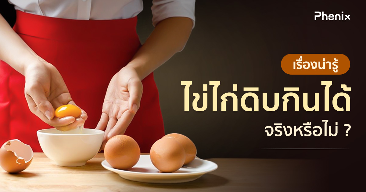 Blog 24 Thumbnail