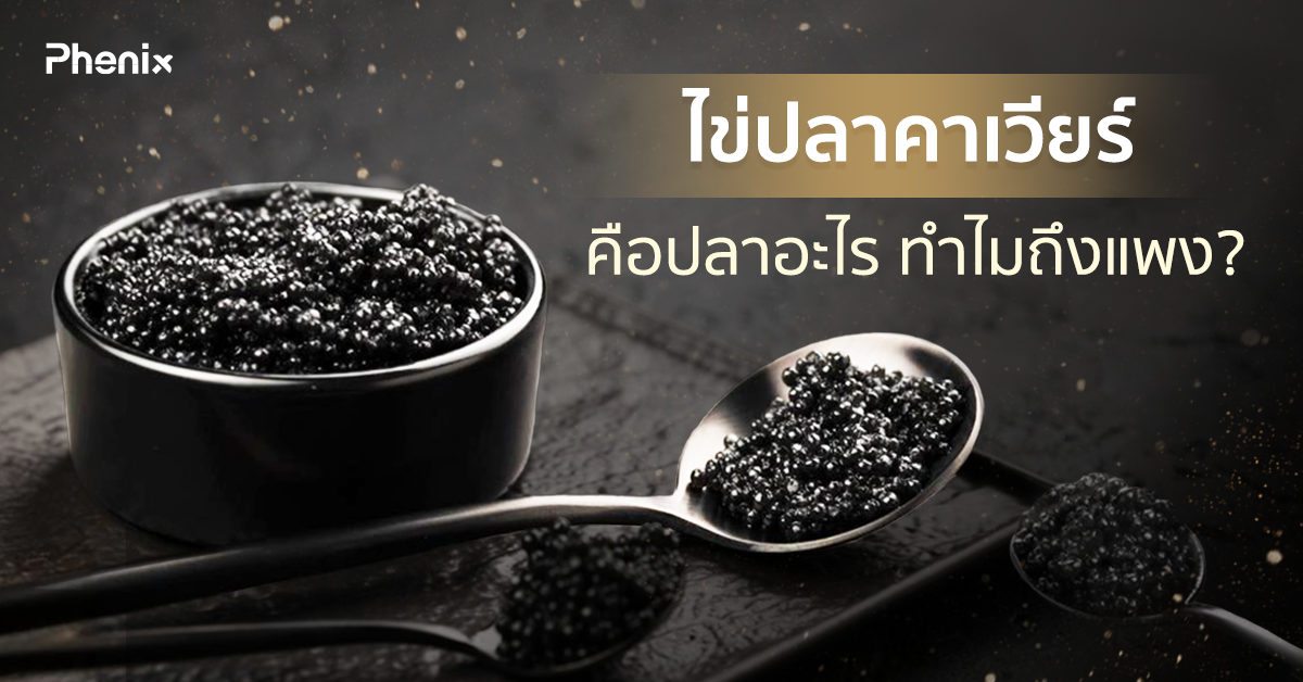 Blog 16 Thumbnail